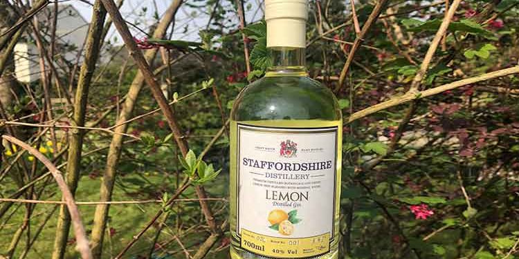 NEW Lemon Distilled Gin