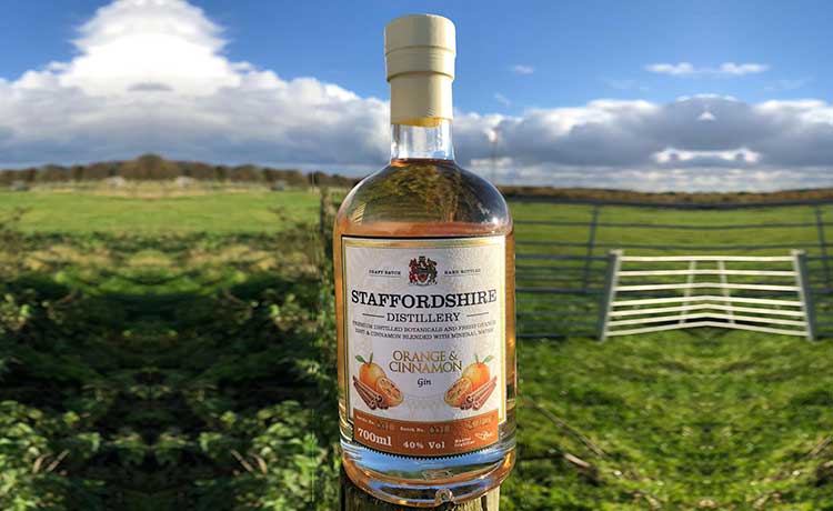 Orange & Cinnamon Gin The perfect gift for Christmas for gin lovers.